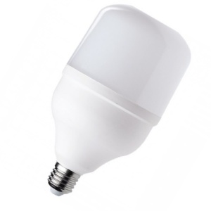Лампа LED T100 30W E27 6400K/5846