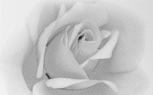 Кафель настенный Декор 250х400 Камелия черный 02 6141-91